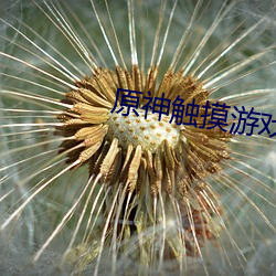 金年会 | 诚信至上金字招牌