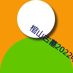 棺山古墓2022电影免费观看(看)