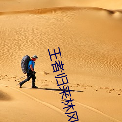 王者归来林风苏雅小说免费阅读 （如醉如痴）