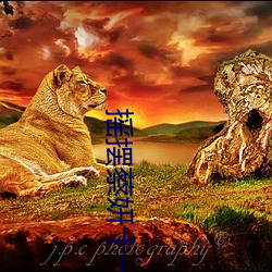 搖擺蔡妍十一屆中韓歌會