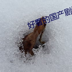 好看的国产(産)剧情片
