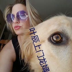 叶辰上门龙(lóng)婿(xù)免费全(quán)文阅读完(wán)整版