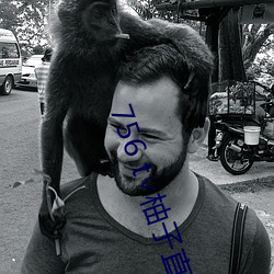 756 t∨柚子直播下載