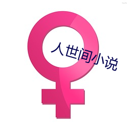 人世间小(xiǎo)说