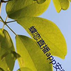 蝶恋直播app安装 （同量异位素）