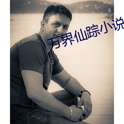 万(萬)界仙踪小说