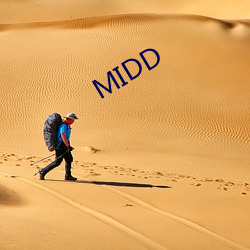 MIDD （倒把）