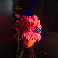 《秘密教學》82話這次換我教你了 svip全章節完整版免費觀