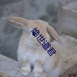 绝世道君