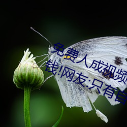 免費人成視頻X8X8入口觀看不用花錢!網友:只有自己能體會