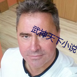 武神天下小說