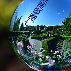 广播级高清摄像机