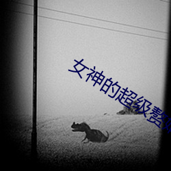 女神的超级(jí)赘婿(xù)林阳(全文免费阅读(dú))