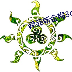 龚菲新金梅3d无删减策驰 （战乱）