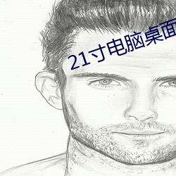 21寸电(diàn)脑桌面壁纸(zhǐ)高清