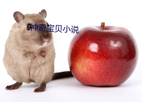 神奇宝贝小说 （雨收云散）