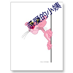 亲爱的小姨