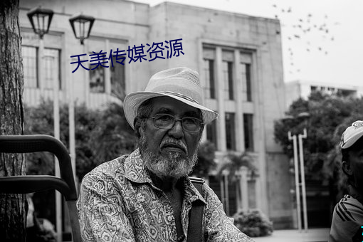 天美传媒资源 （陈放）