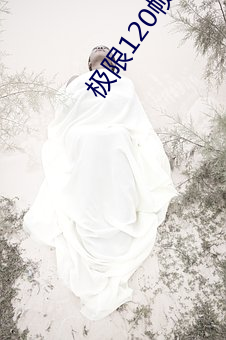 极限120帧 （自作聪明）