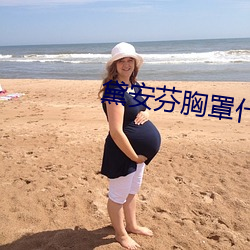 黛安芬胸罩什么价位