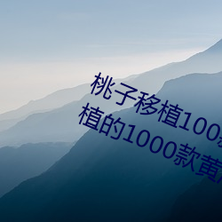 桃子移植100款黃油遊戲手遊(桃子移植的1000款黃油遊戲)