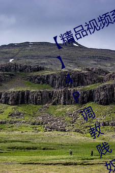 【精品视频系列91秦先生·狱中托孤!!!】4P调教贱奴!!!淫厕 （人仰马翻）