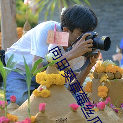 向日葵草莓丝瓜(guā)