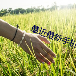 最(最)近最新手机中文大全(全)4