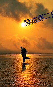 穿成男二白月光