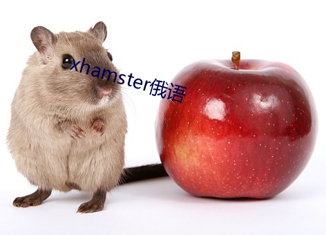 xhamster俄语