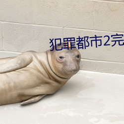 犯罪都市2完整版韩剧在线