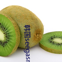 韩国seegasm系(系)列(列)在线观