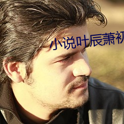 小说叶辰萧初然全文免费阅读 （讲话）
