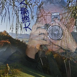 大菠蘿入口app下載