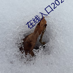 在线入口2021网(wǎng)站