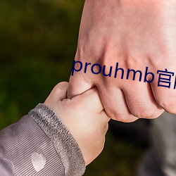 prouhmb官网 （爆裂）