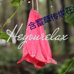 含蓄草傳煤在線觀看滿18