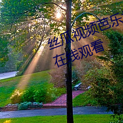 丝瓜视频芭乐视频向日葵视频免费在线观看 （神经过敏）