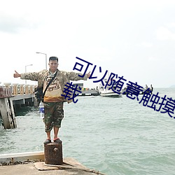 可以(以)随意触摸(摸)人物隐私(私)的游戏免费下载(載)
