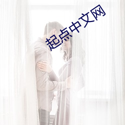 起(qǐ)点中文网