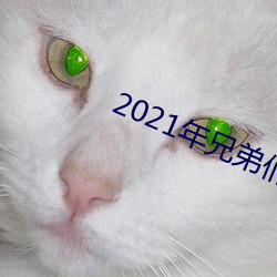 2021年兄弟们给点网站
