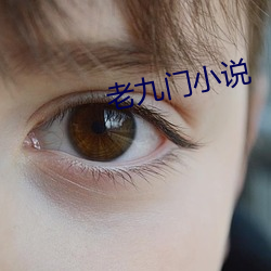 老九门小说