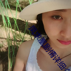 鳳求凰劇情詳細介紹