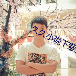 久久小说下载网