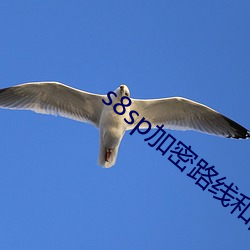 s8sp加密路線和隱藏路線