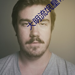 大明流氓皇帝