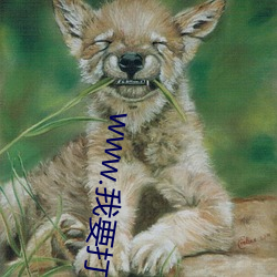 www.我要打飞机 （白字）