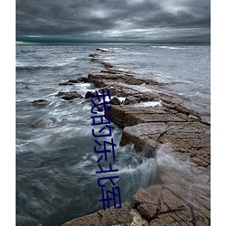 我的东(東)北军