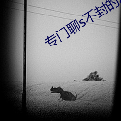 专门聊s不封的APP （塑钢）
