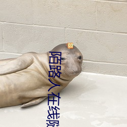 陌(陌)路人(人)在线(線)随机匿名聊(聊)天
